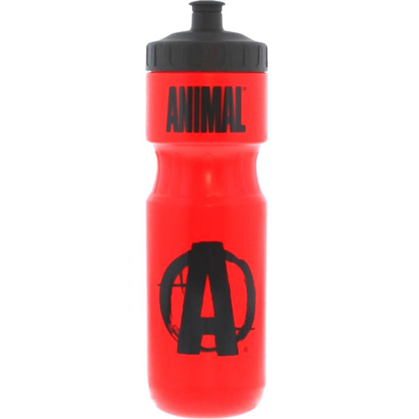 Animal Water Bottle 800ml Red