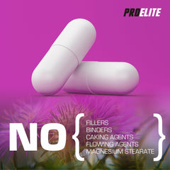 Pro-Elite Milk Thistle 40:1 Extract - Capsules VEGAN