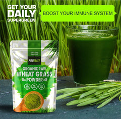 PROELITE Wheat Grass Powder