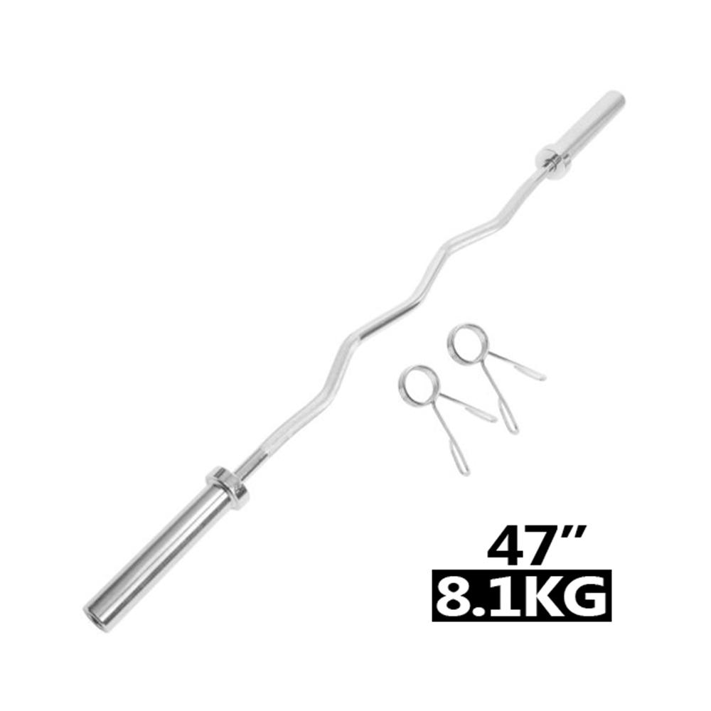 TnP Accessories 2" Curl Bar 1200X50Mm (4') Ez 2"Curl Silver + collar-Bars & Collars-londonsupps